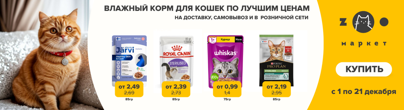 Влажный корм кошки выгодно