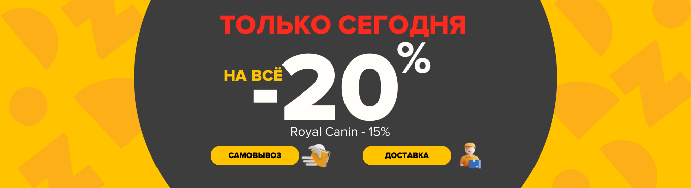 -20 понедельник