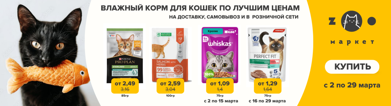 Влажный корм кошки выгодно