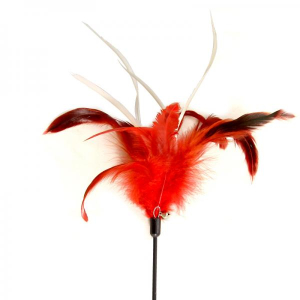 Triol C4016 Удочка-дразнилка "Перья", 18,5/54 см