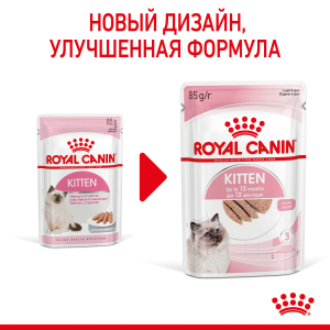 Royal Canin Kitten Корм консервированный для котят в период второй фазы роста до 12 месяцев, паштет, 85г