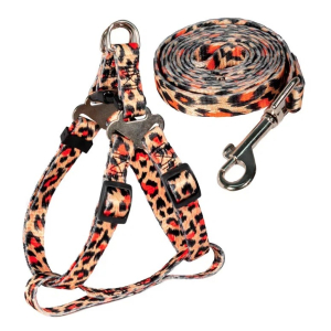 Triol Комплект шлейка и поводок нейлоновый "Абстракция" размер XS, 10*200-400мм; 10*1200мм