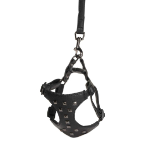 Camon Шлея для собак (с заклепками черная) + повод 1,5х120см