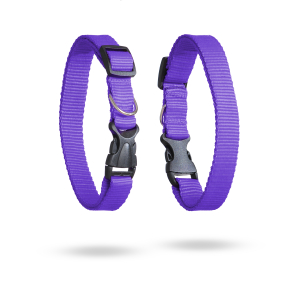 Humpo Ошейник капроновый для собак (ширина 2см, обхват 30-50см)