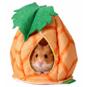 Домик из фетра Bambini Pets "Тыковка" для грызунов