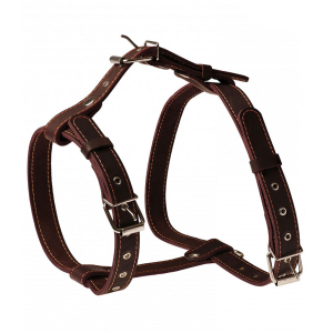 Шлея кожанная прогулочная, ш 20, обх.груди до 60