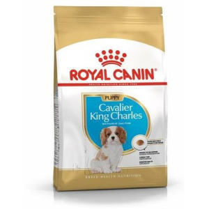 Royal Canin Кавалер Кинг Чарльз Паппи сухой корм,1,5кг