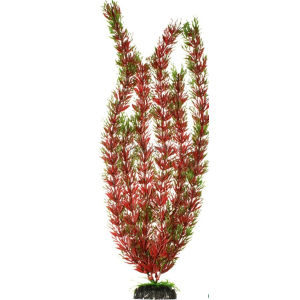 Plant 001/30 Пластиковое растение Plant 001- Перестолистник КРАСНЫЙ, 30см