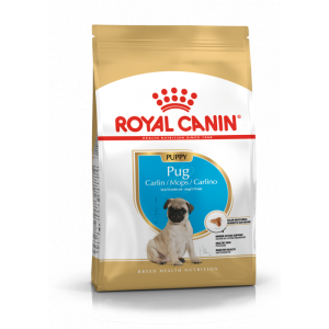 Royal Canin Pug Puppy Корм сухой для щенков породы Мопс в возрасте до 10 месяцев, 1,5 кг