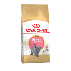 Royal Canin British Shorthair Kitten Корм сухой сбалансированный для британских короткошерстных котят, 10 кг