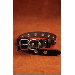 Ошейник из натуральной кожи, цвет черный с красной нитью 50см