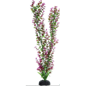 Plant 025/50 Пластиковое растение Plant 025- Бакопа КРАСНАЯ, 50см