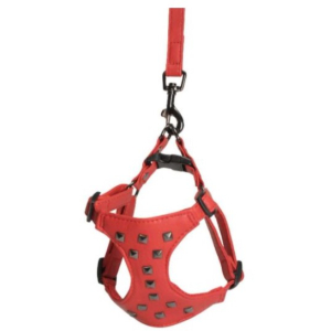 Camon Шлея для собак (с заклепками красная) + повод 1,5х120см