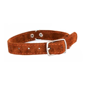 312620 Ошейник велюровый, ш 20, обх 30-40