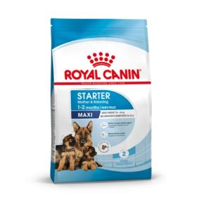 Royal Canin Maxi Starter Корм сухой полнорационный для собак крупных пород (весом от 26 до 44 кг) в конце беременности и в период лактации, а также для щенков в период отъема от матери и до 2-х месячного возраста, 15 кг