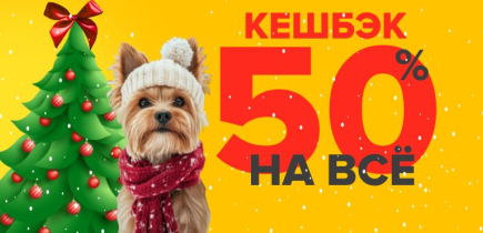 Весь декабрь БОНУСНЫЙ БУМ в ZOOмаркет! 