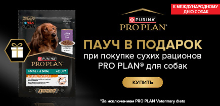 Подарок! При покупке любого сухого корма Pro Plan для собак