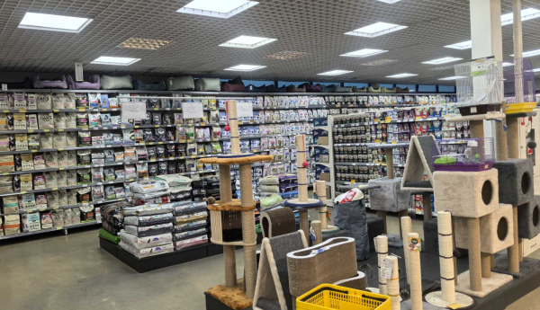 Изображение 4