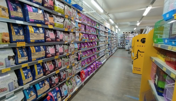 Изображение 11