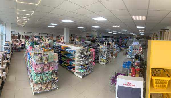 Изображение 2