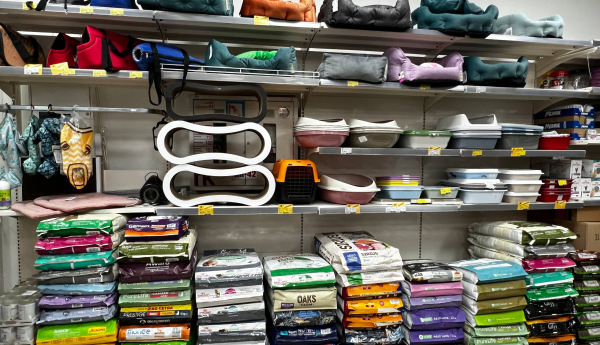 Изображение 10