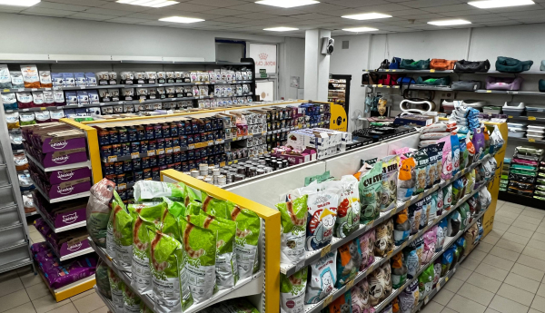 Изображение 2