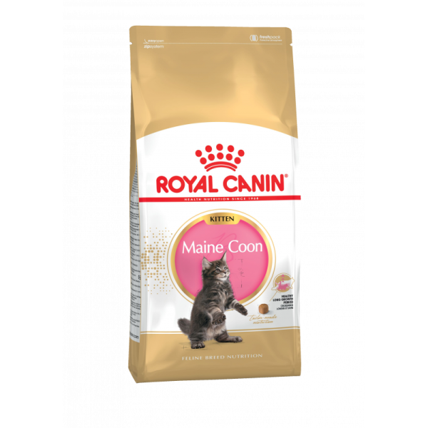 Royal Canin Maine Coon Kitten Корм сухой сбалансированный для котят породы Мэйн Кун