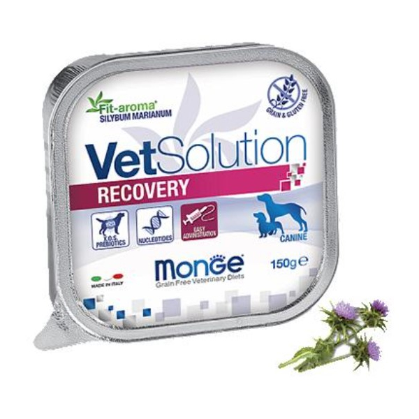Monge VetSolution Dog Recovery Рекавери для собак при восстановлении питания в период выздоровления, 150 г