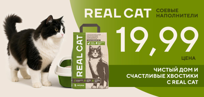 Real cat