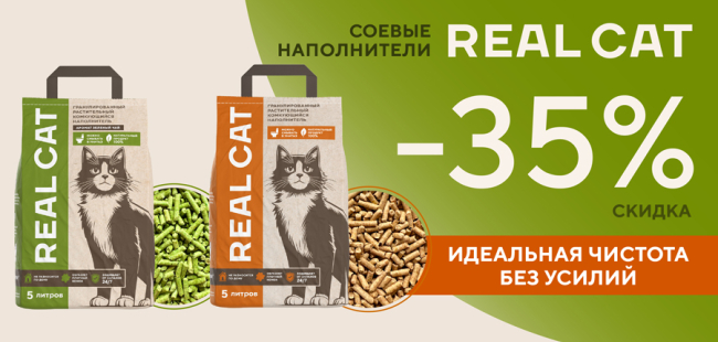 Real cat
