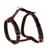 Шлея кожанная прогулочная, ш 35, обх.груди до 100
