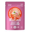 Molina влжаный корм для кошек (цыплёнок и лосось в желе) 70гр
