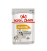 Royal Canin Coat Care Корм консервированный для взрослых собак от 10 месяцев, с тусклой и сухой шерстью, 85г
