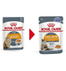 Royal Canin Hair & Skin Care (желе) Корм консервированный для взрослых кошек, 85г