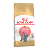 Royal Canin British Shorthair Kitten Корм сухой сбалансированный для британских короткошерстных котят, 0,4кг