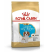 Royal Canin Кавалер Кинг Чарльз Паппи сухой корм,1,5кг