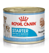 Royal Canin Starter Mousse Dog Консервы щенков до 2-х месяцев, беременных и кормящих собак, 195г