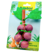 Игрушка Bambini Pets для грызунов 