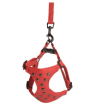 Camon Шлея для собак (с заклепками красная) + повод 1,5х120см