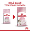 Royal Canin Kitten Корм сухой полнорационный сбалансированный для кошек - Специально для котят в возрасте до 12 месяцев, 4 кг