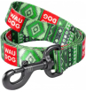 Collar Waudog Поводок для собак (этно зеленый)