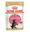 Royal Canin Maine Coon Kitten влажный корм для котят Мэйн кунов 85гр