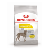 Royal Canin Maxi Dermacomfort Корм сухой для взрослых собак крупных размеров при раздражениях и зуде кожи, 10 кг
