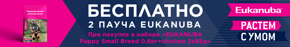 Юка