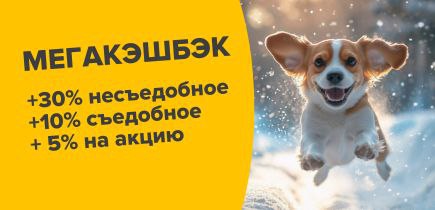 Основные правила бонусной программы ZOOмаркет!