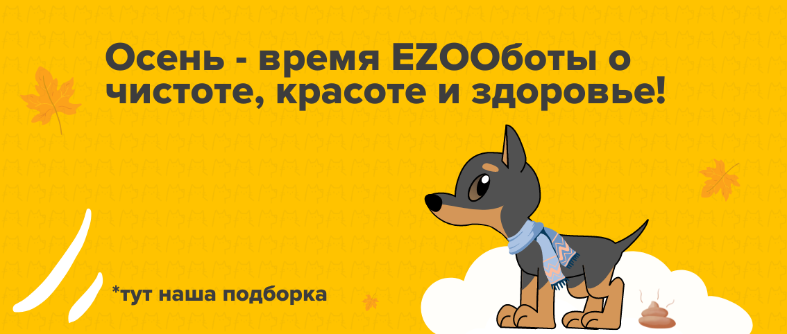 Чистота и здоровье