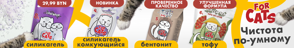 For cats (тофу)