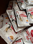 Royal Canin Instinctive Корм консервированный для взрослых кошек,желе, 85г - фото