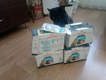 Royal Canin Urinary Care Корм консервированный для кошек в соусе для поддержания здоровья мочевыделительной системы, 85г - фото