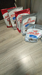 Royal Canin Medium Light Weight Care Корм сухой для взрослых и стареющих собак средних размеров, склонных к набору лишнего веса, 3 кг - фото